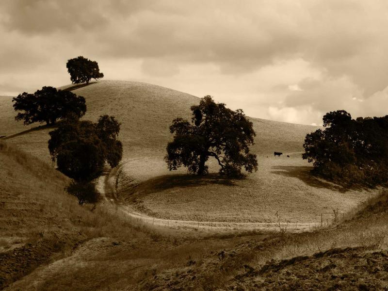 黑胶唱片<br>hzldzsi.cn 爵士蓝调夜晚